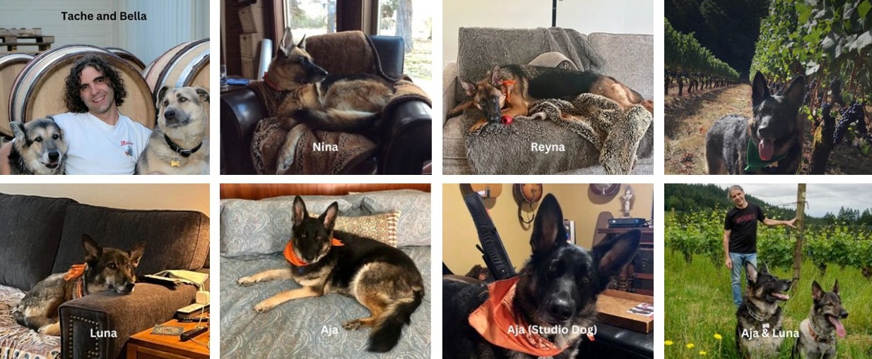 ジェイ シー サマーズJ.C. Somers : ワイナリー情報 : オルカ